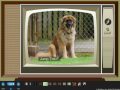 TV Slideshow