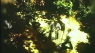 Babyland&#39;s &quot;Form 95B&quot;