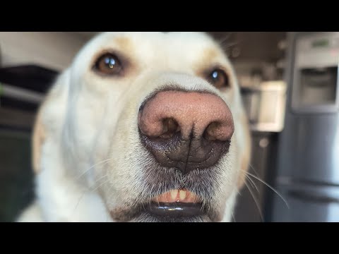 Epic Minecraft Drama: Evan Gets Pressed!