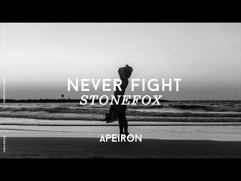 Stonefox - Never Fight | Lyrics