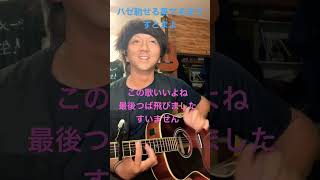 ハゼ馳せる果てるまで　ずとまよ　弾き語り　アコギ　アラサー