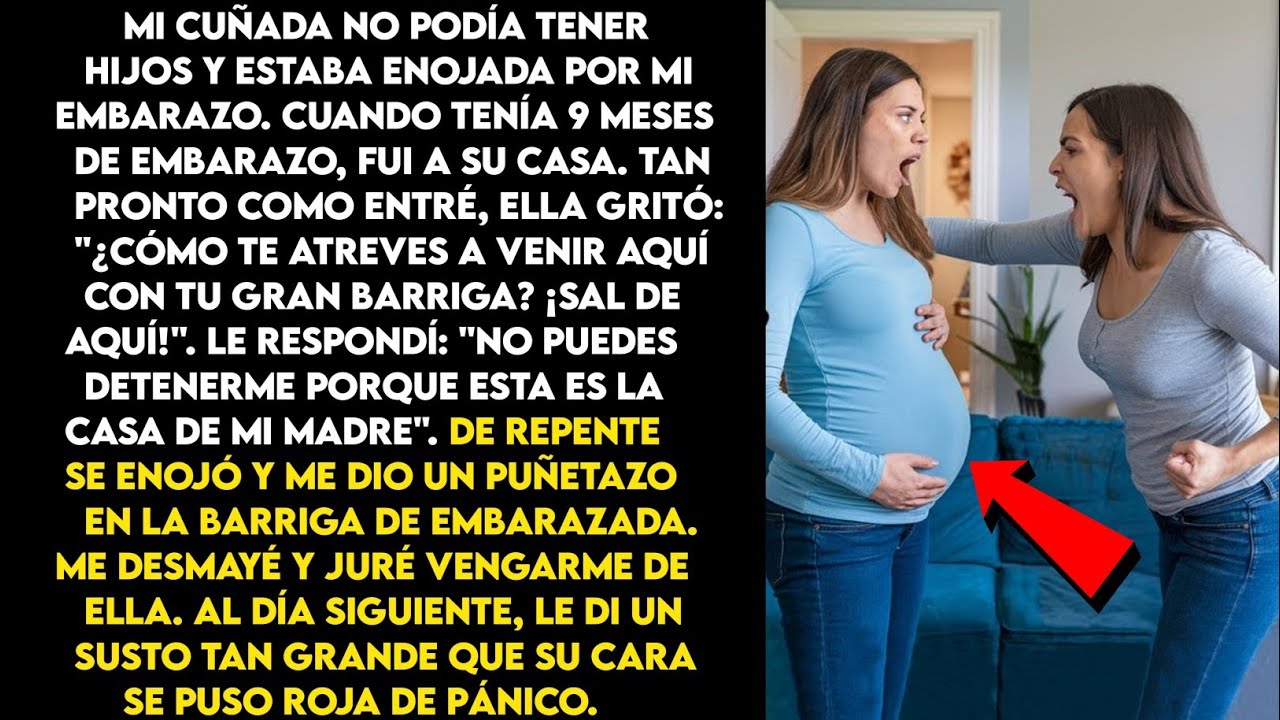 "Mi cuñada sin hijos me dio un puñetazo en la barriga embarazada. Lo que pasó después dejó a todos