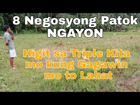 , title : '8 Negosyong Patok Ngayon | Livestock Gulay Tindahan Bigasan Atbp | Essential Business