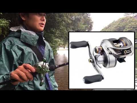 アブ・アンバーについて詳しく解説