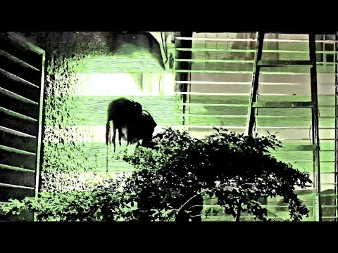 Bitch Heavy - RichRay, Frowningato (prod. @realgabio @1sickboi @frowningato )