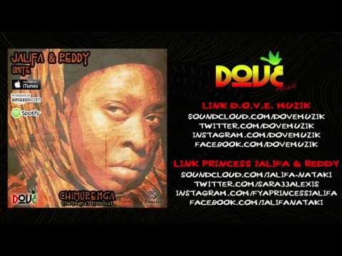 Jalifa & Reddy - Unite [Chimurenga: The People's Struggle]