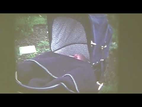 Camping de Krabbeplaat compilatie