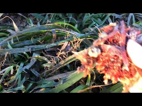 BALI PARADISE of SUNRISE