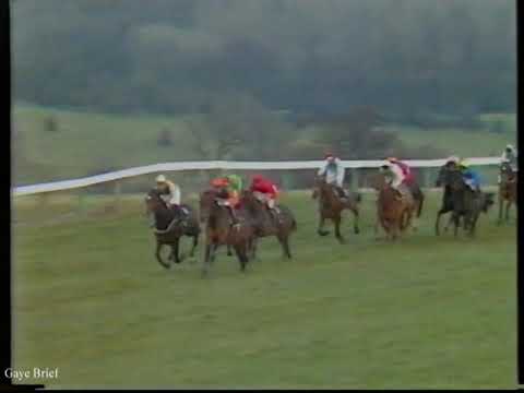 1983 Champion Hurdle  Full Race + Replay