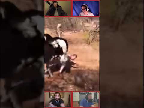 MAN VS OSTRICH | PKA REACTS