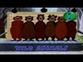 Disney S Magic English Wild Animals Фрагмент