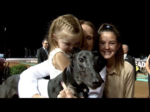 2017 Australian Super Stayers Final