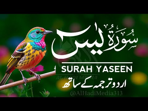 Surah Yaseen Urdu Tarjuma ke Sath | Peaceful Recitation | Episode - 622