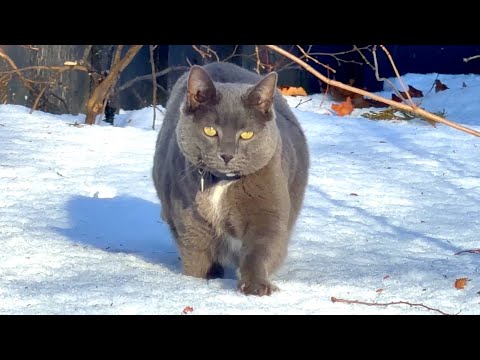 A Good Way to End the Day on the Farm