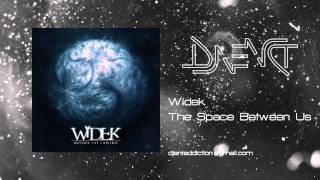 Widek - The Space Between Us