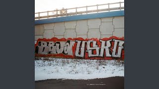 Download lagu Nieważne (feat. Manewell & BRUD BOYZ) mp3