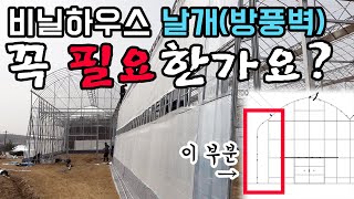 비닐하우스 옆에 달린 '날개(방풍벽)' 꼭 필요할까요? #비닐하우스 #비닐하우스 날개#비닐하우스 방풍벽
