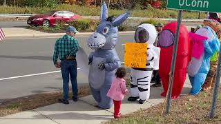 Tolland 'No Kings' protesters dress up in costumes