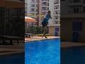 Swimming Jumping Bollywood Music Love Sanjeevini Status Love Shrushti Video Videoshort