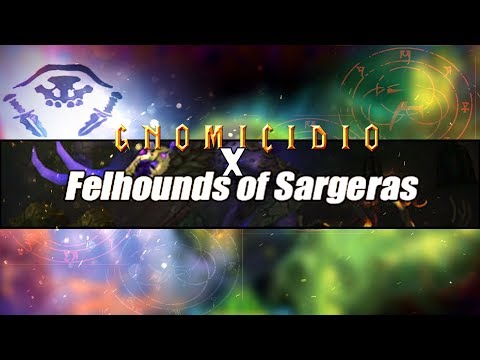 Gnomicidio vs Felhounds of Sargeras | Druid Balance POV