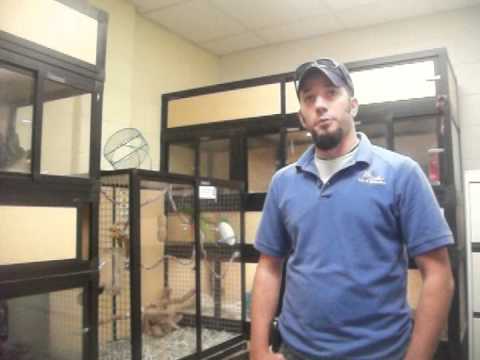 Animal Shelter interview