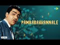 Pambarakkannale Audio Song Manamagan Thevai G Ramnathan J P Chandrababu