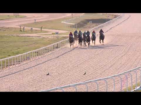 2022.04.10. 09. futam - PATIENCE HENDIKEP (IV.o.) (szintetikus pálya)