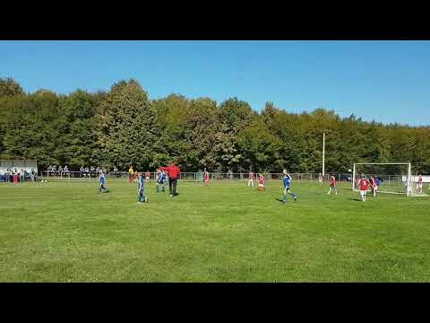 FTS Platform - Amar Osmanović