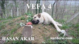 Hasan Akar - Vefa 4