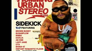 Humming Urban Stereo - Love Treatment (Banjax Remix)