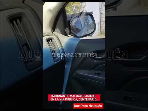 Violencia animal en Centenario.