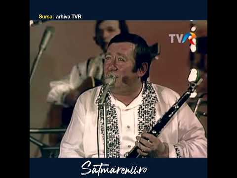 Dumitru Fărcaș - A venit aseară Mama