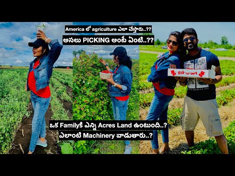 How Americans Do Agriculture In USA? What Equipment They Use|Experience Of Picking | #DIML |DayVlo