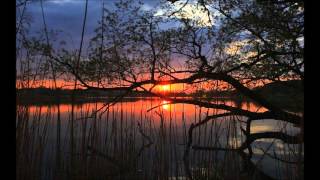 Greensleeves -  Henry VIII (Classical)