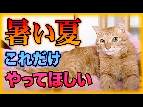 都市の暑さ: 巨大なストレス傾向