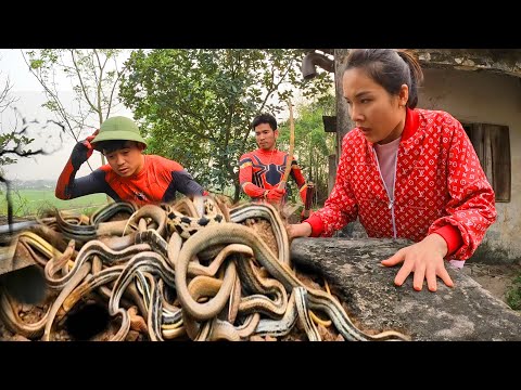 Live video : Spider-man catches a giant python and 1000 dragon snakes | Monster Hunter TV