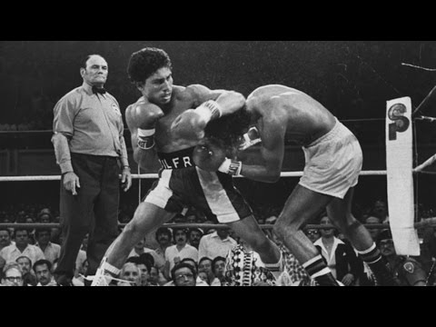 Wilfredo Gómez - Career Tribute