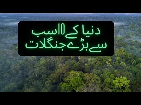 dunya k sab se baray 10 junglaat | top 10 biggest forests in the world
