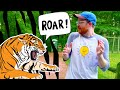 TIGER ON THE LOOSE At The Zoo Lions And Tigers At The Zoo For Kids Zoo Animals Educational