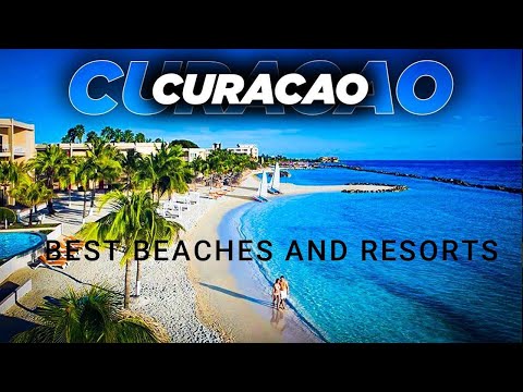 Why Mambo Beach Curacao is the Ultimate Vacation Spot