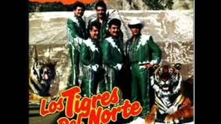 Los tigres del norte la oferta