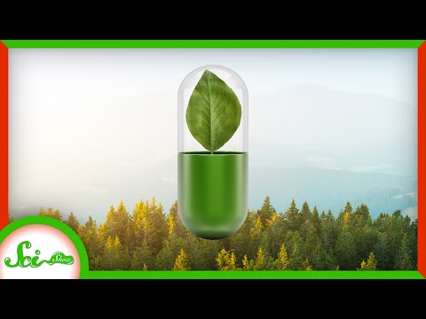 We’re Giving Nature a Vitamin Deficiency