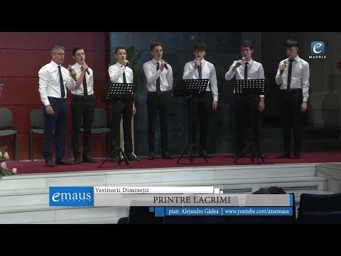 Printre lacrimi | Vestitorii Dimineții