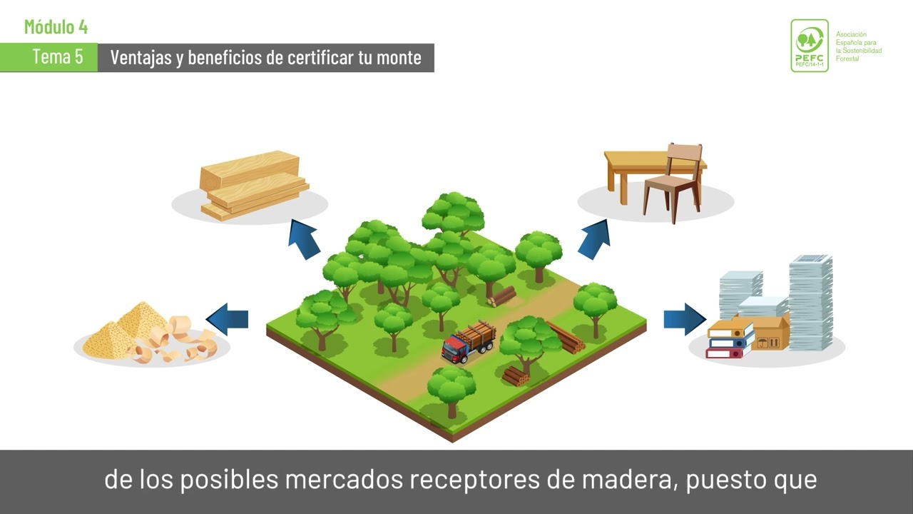 Módulo 4_Tema 5
