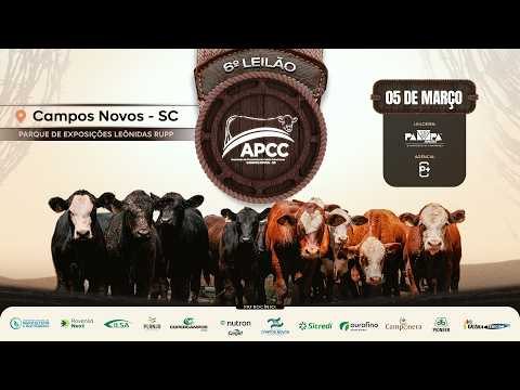 6° LEILÃO APCC (Associação de Pecuaristas do Celeiro Catarinense), CAMPOS NOVOS/SC - 05/03/2026 19h