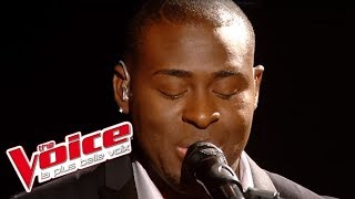 Mike Brandt – Laisse-moi t’aimer | Wesley | The Voice France 2014 | Prime 2