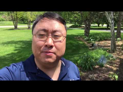 Shallow thoughts on roses