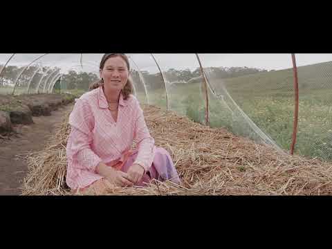 Organic Garden at Hare Krishna Valley