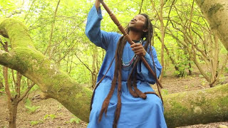 Papa Linos - A Dream About Yahshua - Zimbaremabwe Mbira Vibes (2014) - Zimbabwe Reggae Ting