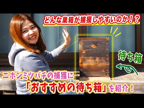 巣箱を購入するときは注意してください!